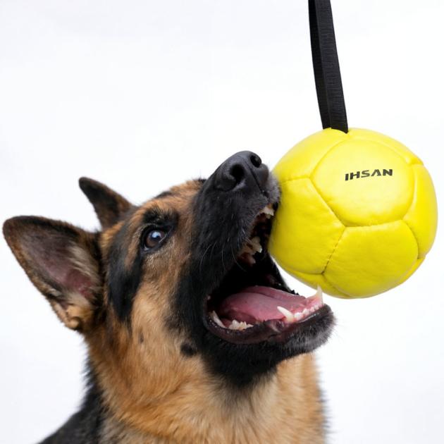 Grip Pup Tug Ball